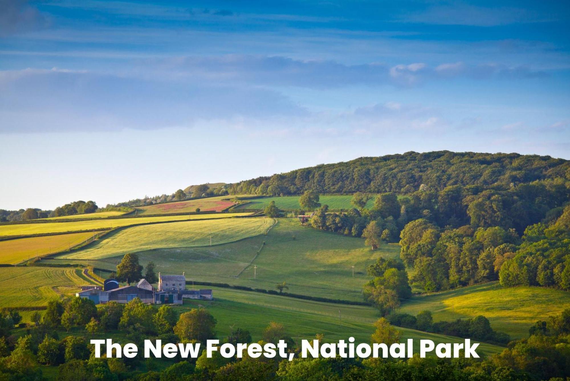 Cosy Retreat Near New Forest Ellingham  Екстер'єр фото