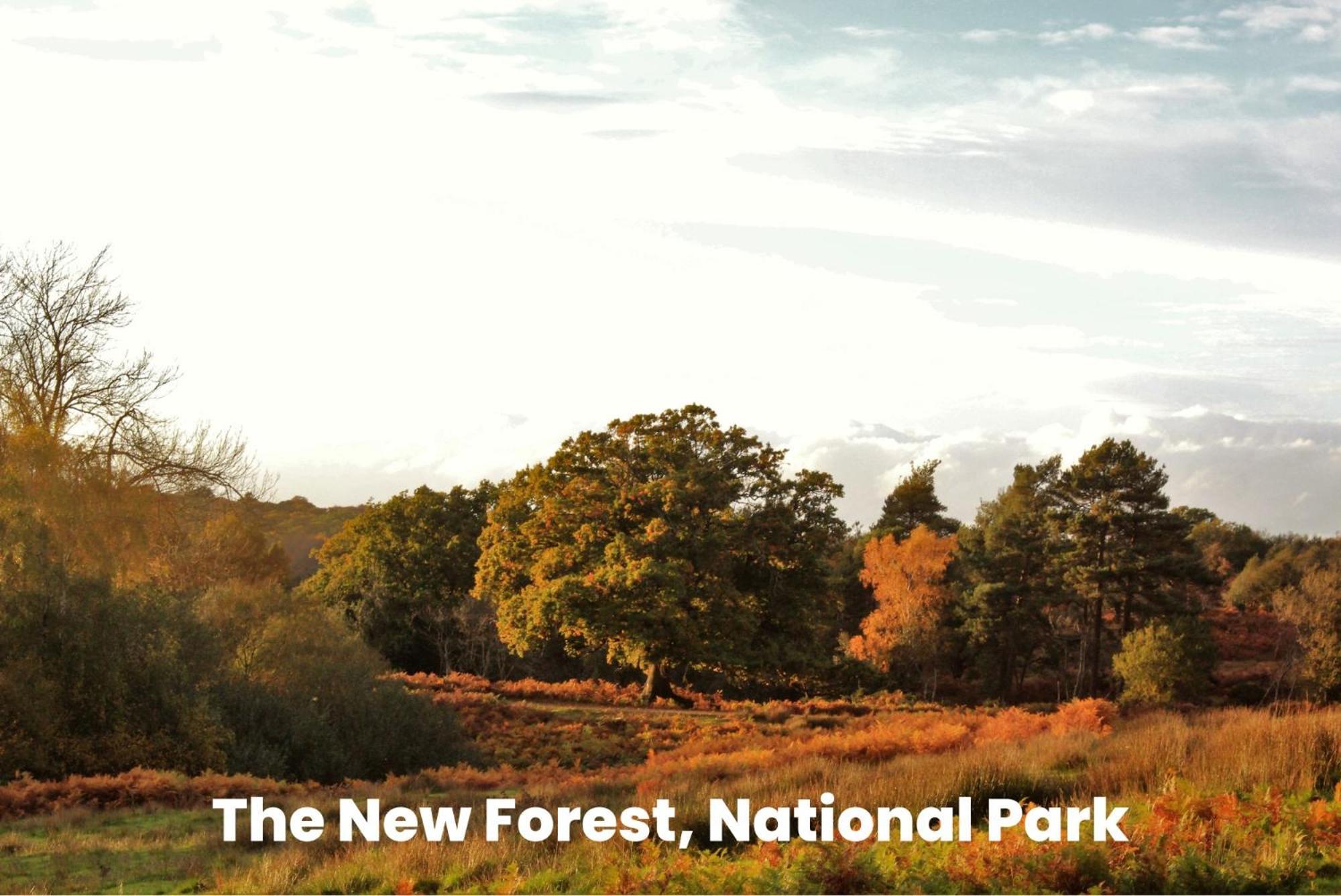 Cosy Retreat Near New Forest Ellingham  Екстер'єр фото