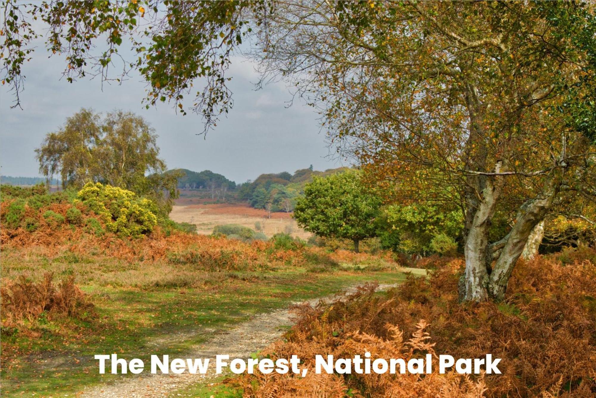 Cosy Retreat Near New Forest Ellingham  Екстер'єр фото
