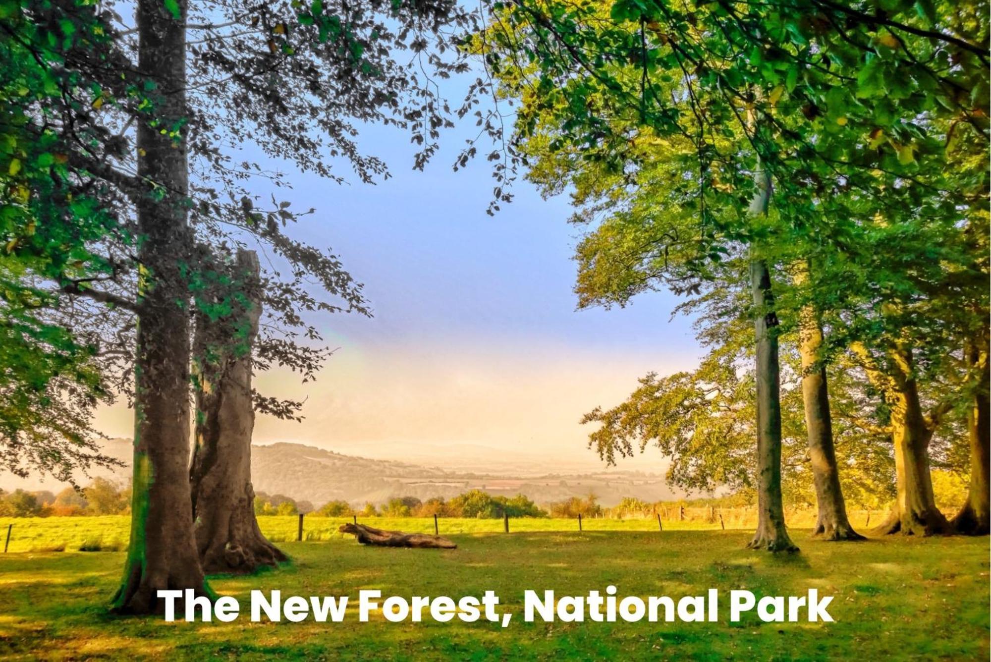 Cosy Retreat Near New Forest Ellingham  Екстер'єр фото
