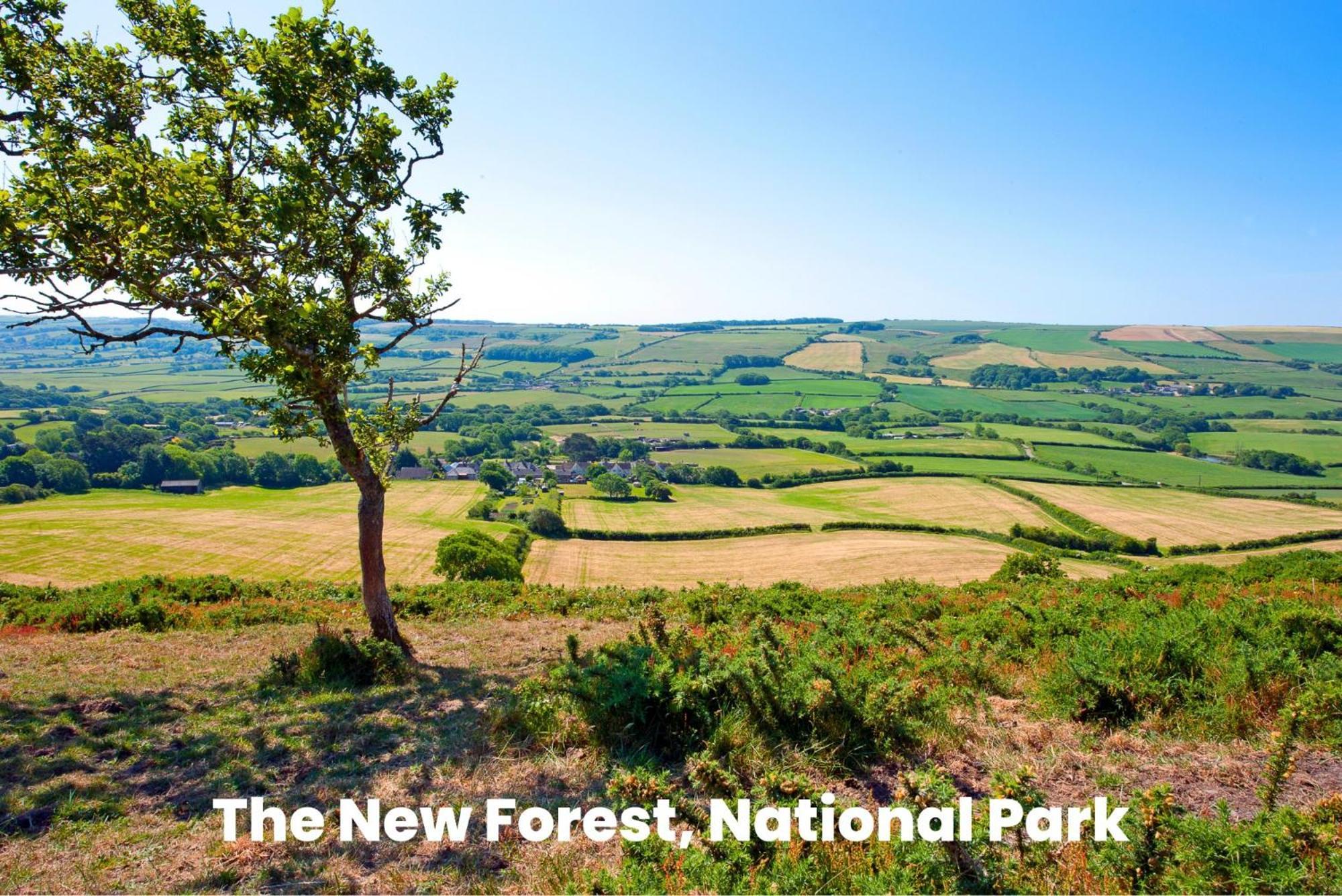 Cosy Retreat Near New Forest Ellingham  Екстер'єр фото